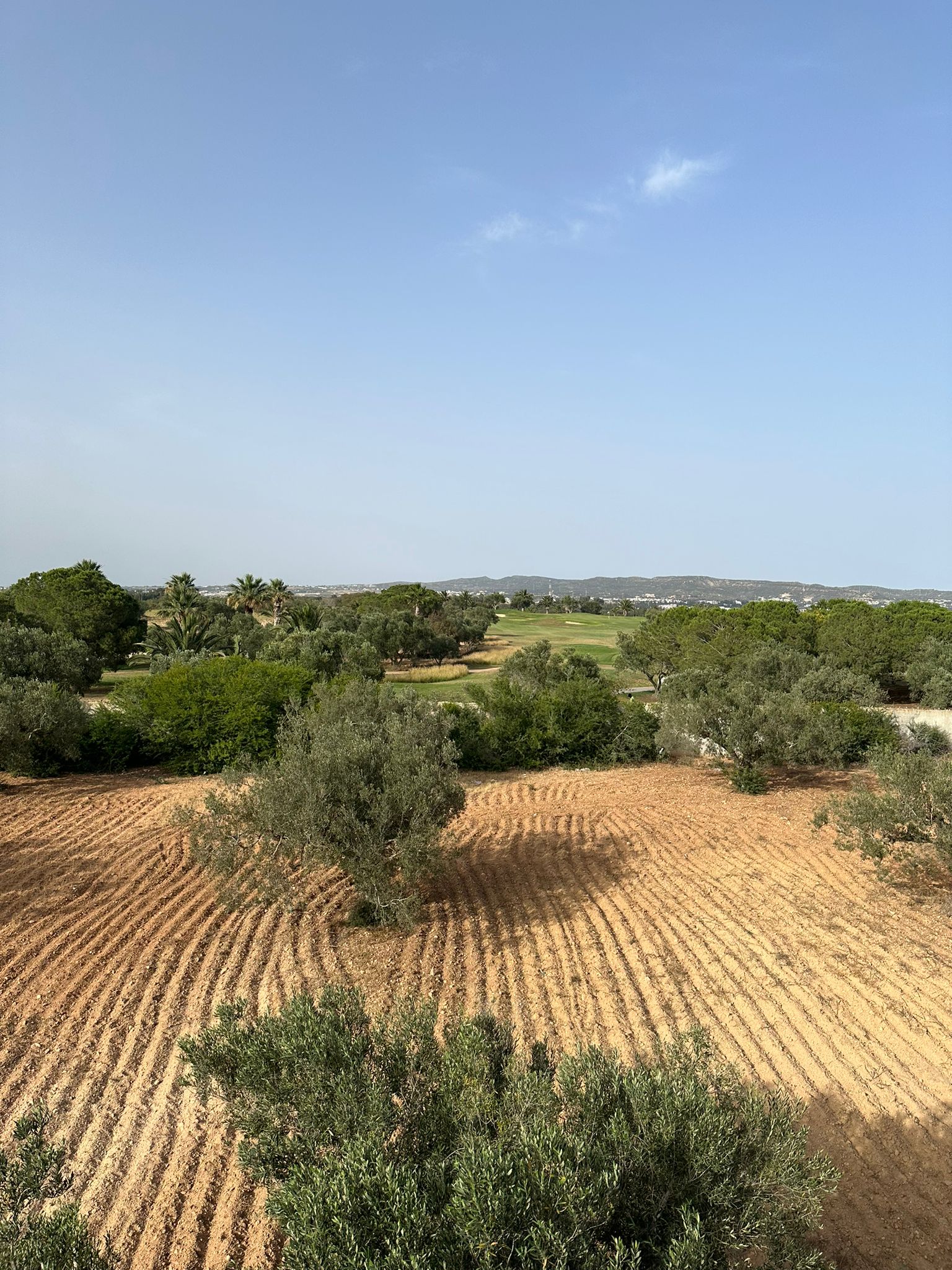 Hammamet Barraket Essahel Terrain Terrain agricole Terrain acote de terrain de golf citrus