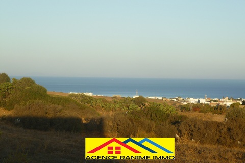 El Haouaria Cite Touristique Terrain Terrain nu Terrains des 300m2  500m2 a la plage el haouaria