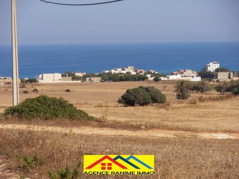 El Haouaria Cite Touristique Terrain Terrain nu Terrains des 300m2  500m2 a la plage el haouaria