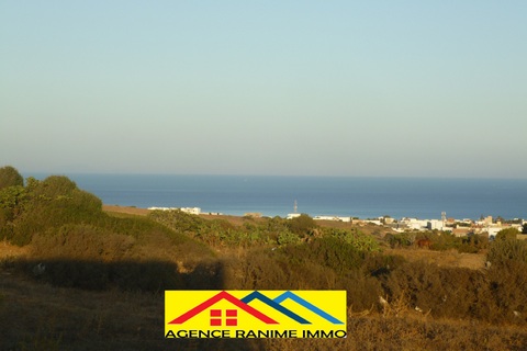 El Haouaria Cite Touristique Terrain Terrain nu Terrains des 300m2  500m2 a la plage el haouaria