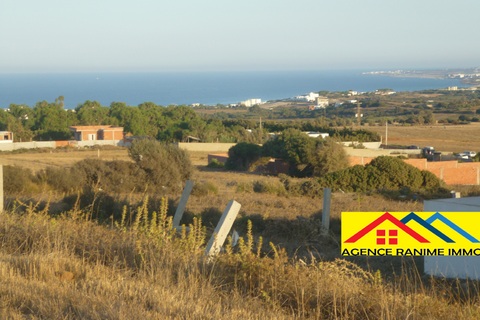 El Haouaria Cite Touristique Terrain Terrain nu Terrains des 300m2  500m2 a la plage el haouaria