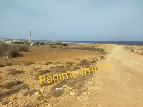 El Haouaria El Haouaria Terrain Terrain nu Terrain de 500m2 a la mer el haouaria cap bon