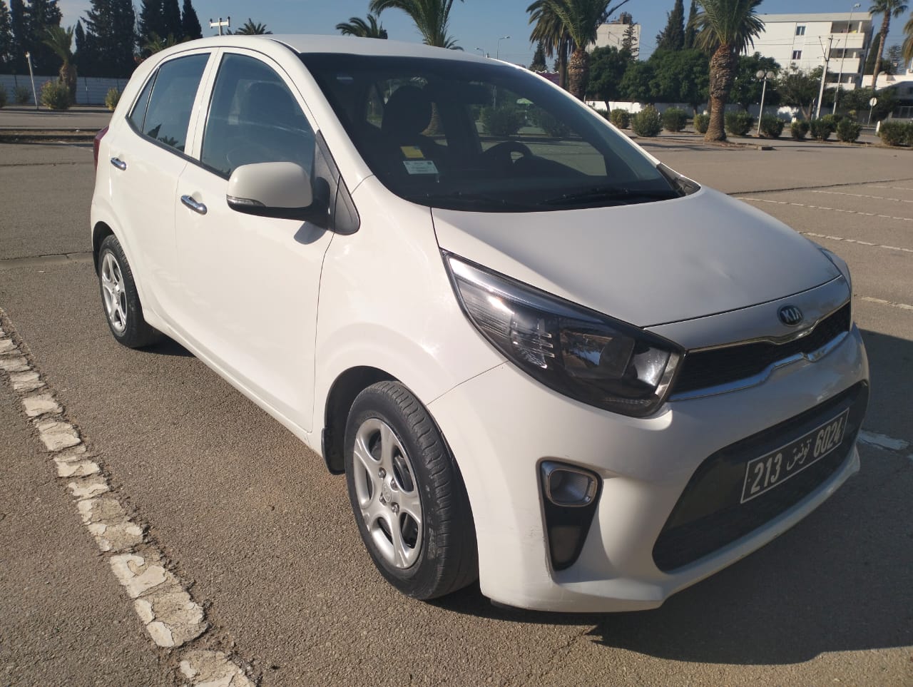 Ariana Ville Borj El Baccouche Kia Picanto Kia picanto 2019