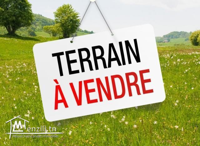 Sidi Thabet Jabbes Terrain Terrain agricole Terrain agricole