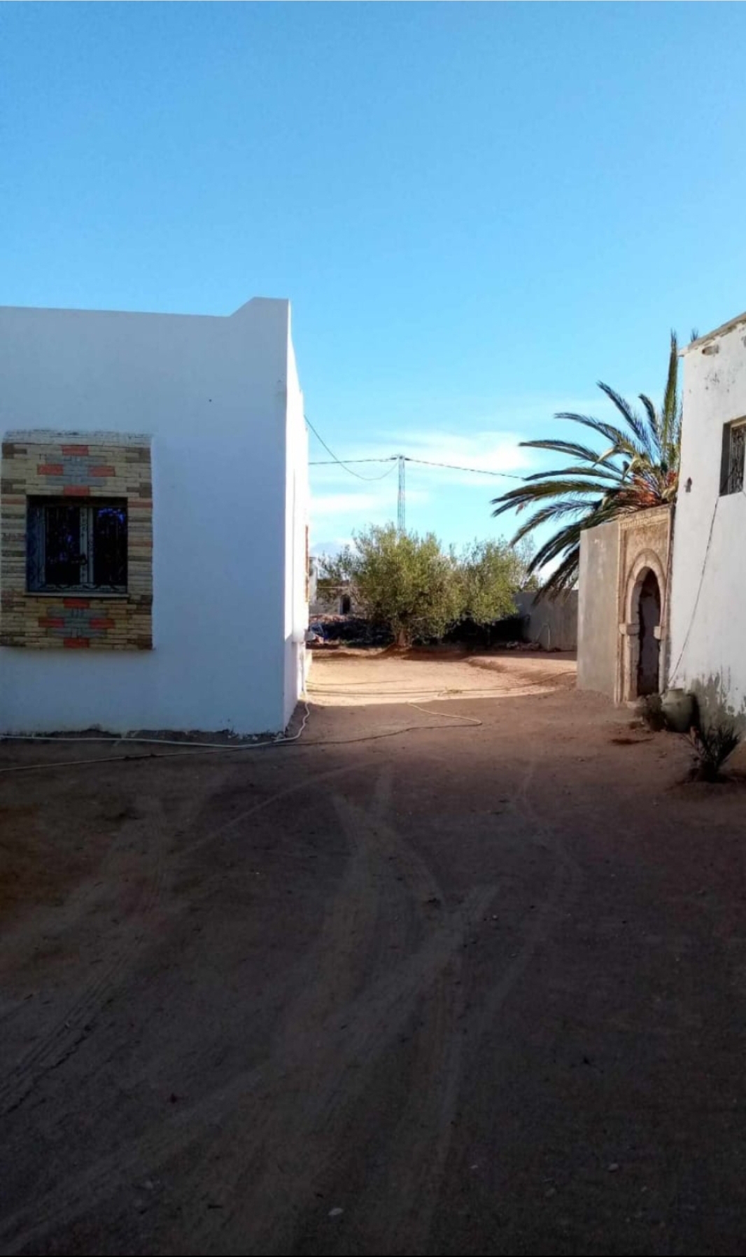 Djerba - Houmet Essouk Erriadh Vente Maisons Villa et houch djerbien avec un terrain 5000m2