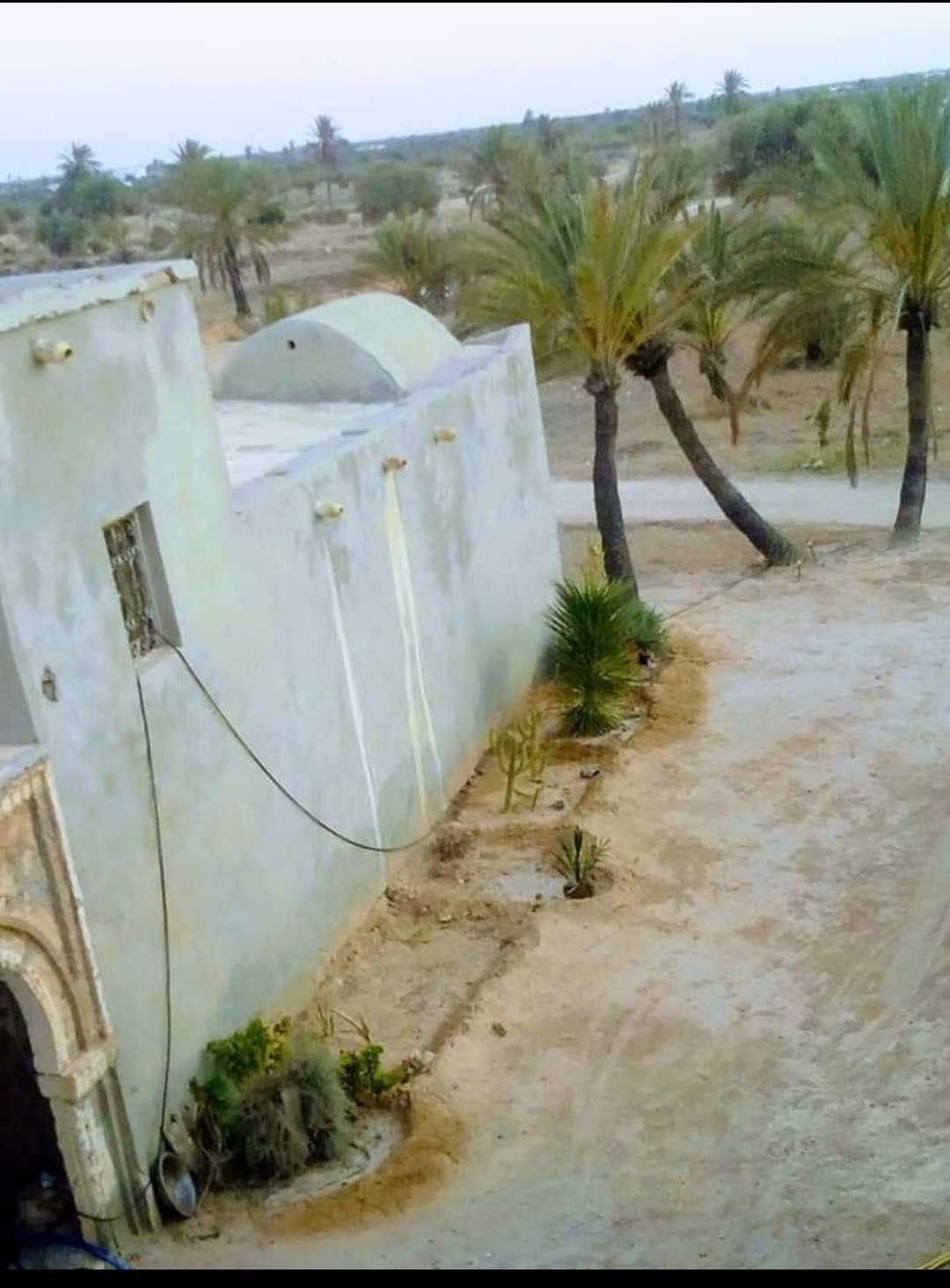 Djerba - Houmet Essouk Erriadh Vente Maisons Villa et houch djerbien avec un terrain 5000m2