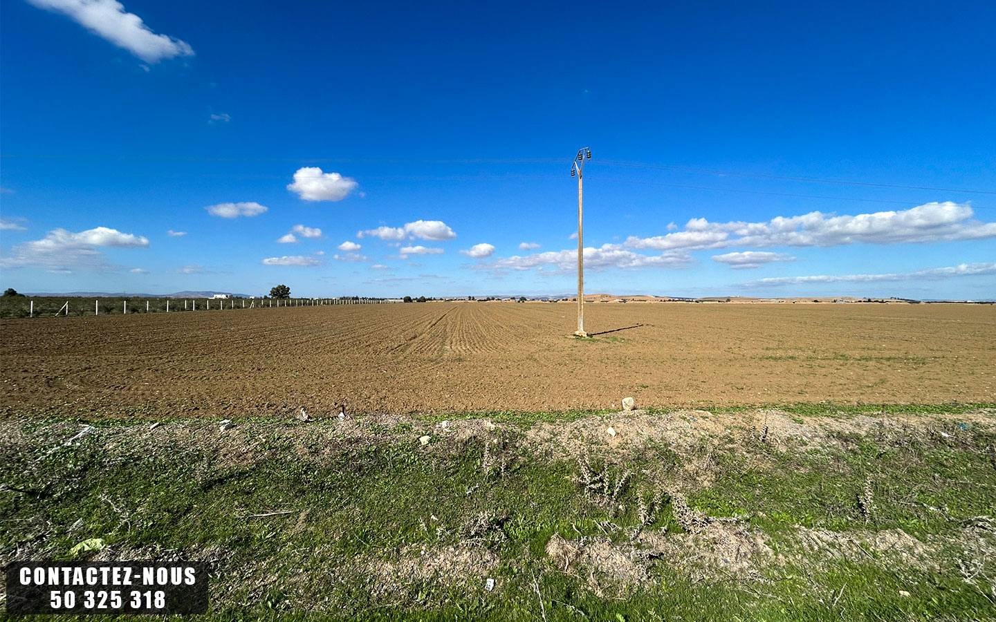 Sidi Thabet Chorfech 12 Terrain Terrain agricole Terrain agricole  chorfech sidi thabet