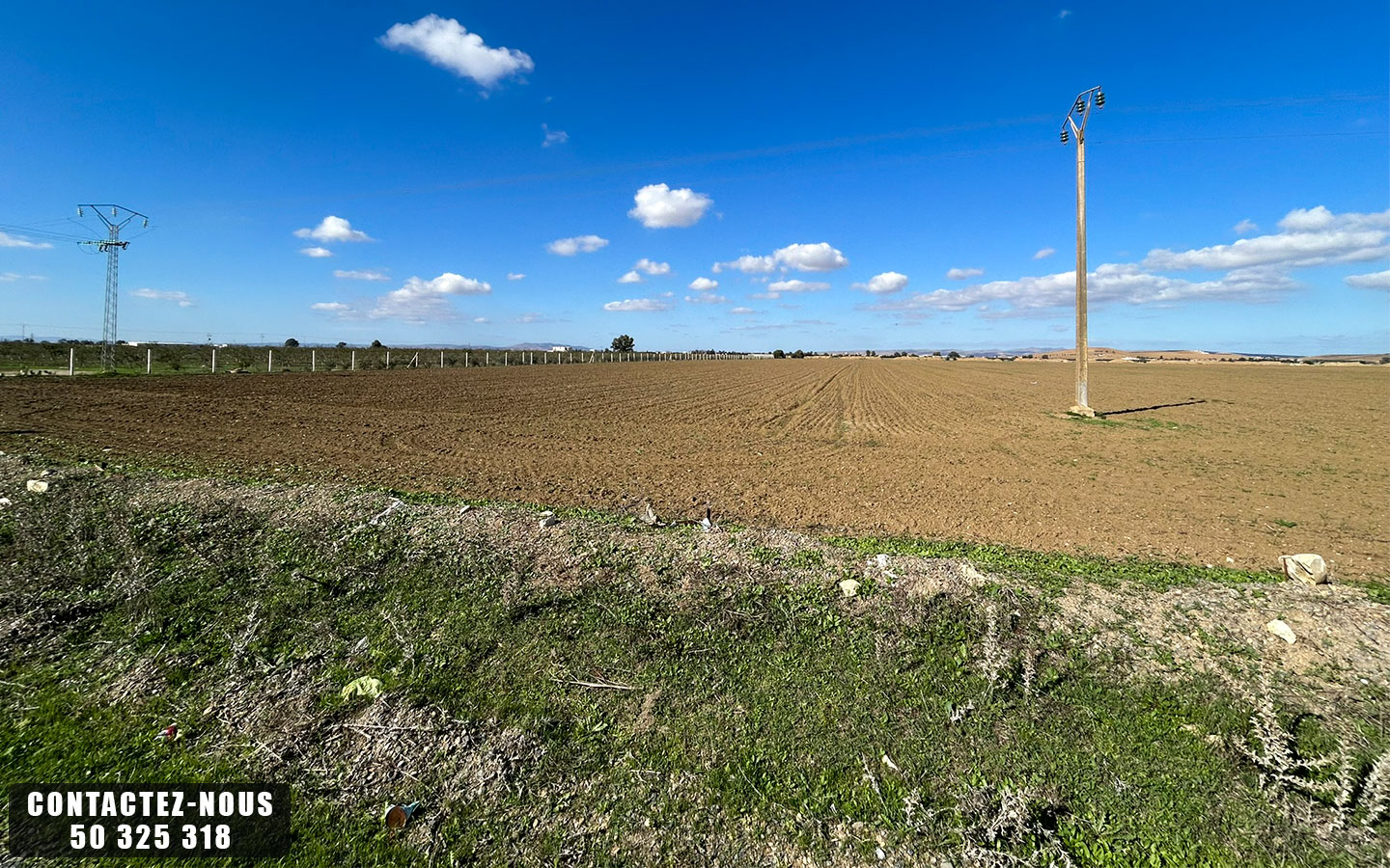 Sidi Thabet Chorfech 12 Terrain Terrain agricole Terrain agricole  chorfech sidi thabet