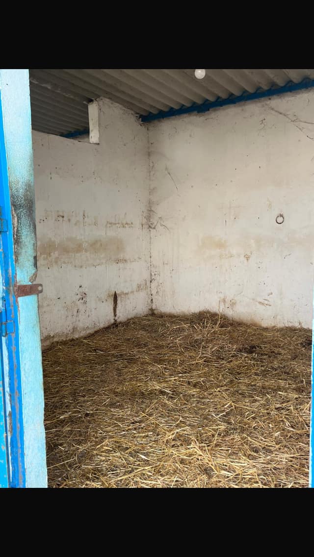 Sidi Thabet Cite El Mbarka Location Autre Des boxes pour chevaux