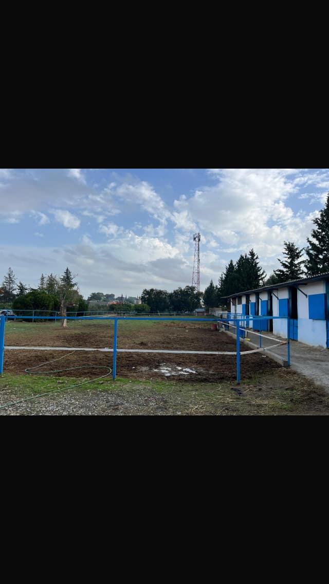 Sidi Thabet Cite El Mbarka Location Autre Des boxes pour chevaux