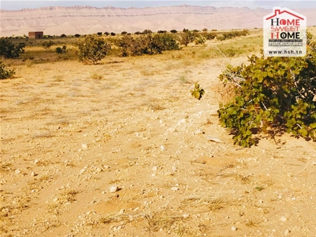 Sidi Aich Sidi Aich Terrain Terrain agricole Terrain agricole pistache  sidi aich