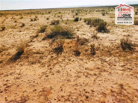 Sidi Aich Sidi Aich Terrain Terrain agricole Terrain agricole pistache  sidi aich