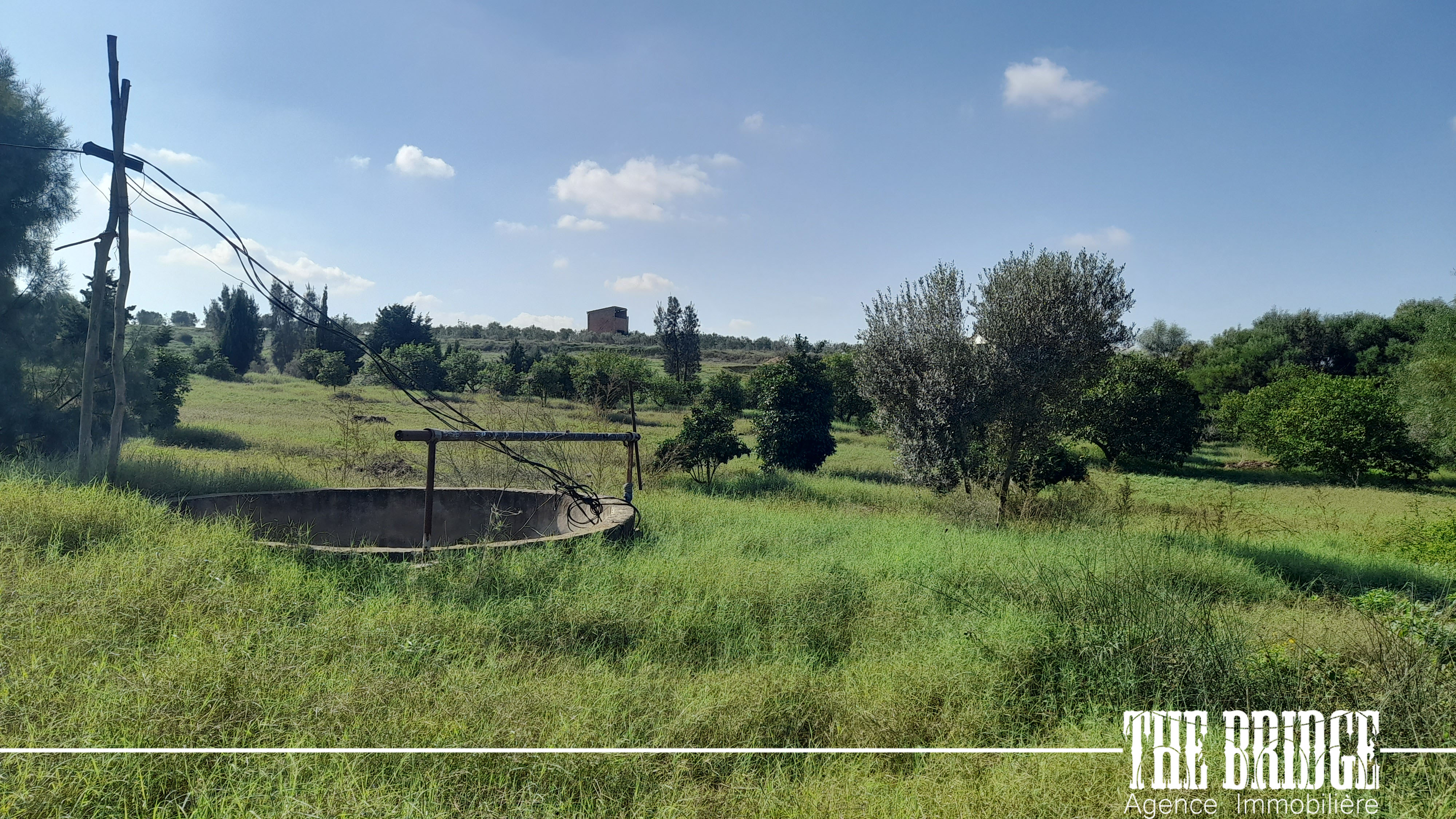 Bou Argoub El Kharrouba Terrain Terrain agricole 7 hectares  el kharrouba bouargoub