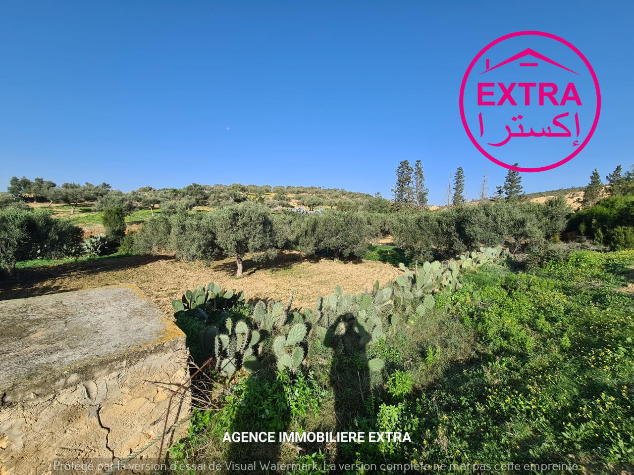 Dar Chaabane Elfehri Dar Chaabane Elfehri Terrain Terrain agricole Campagne  dar chabane el fehri