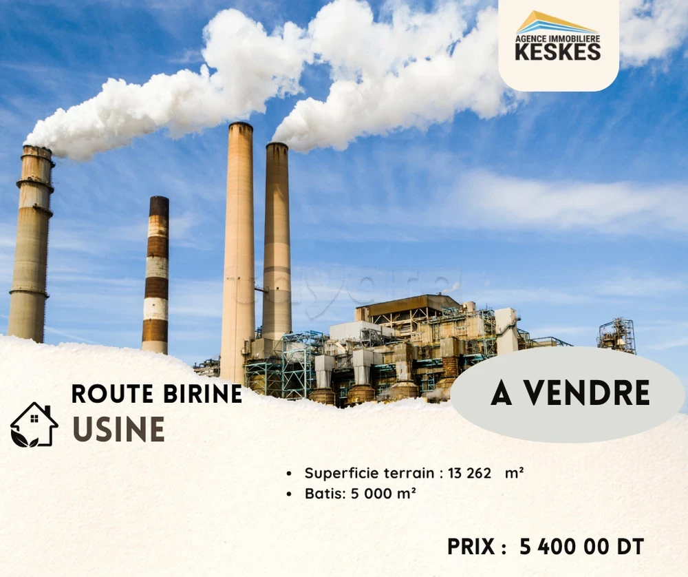 El Battan El Battan Vente Autre Usine route de  birine ben arouss