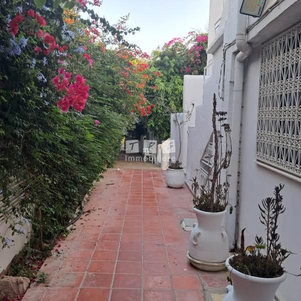 Hammamet Hammamet Location Appart. 2 pices Coquet app s1 proche au centre l3085