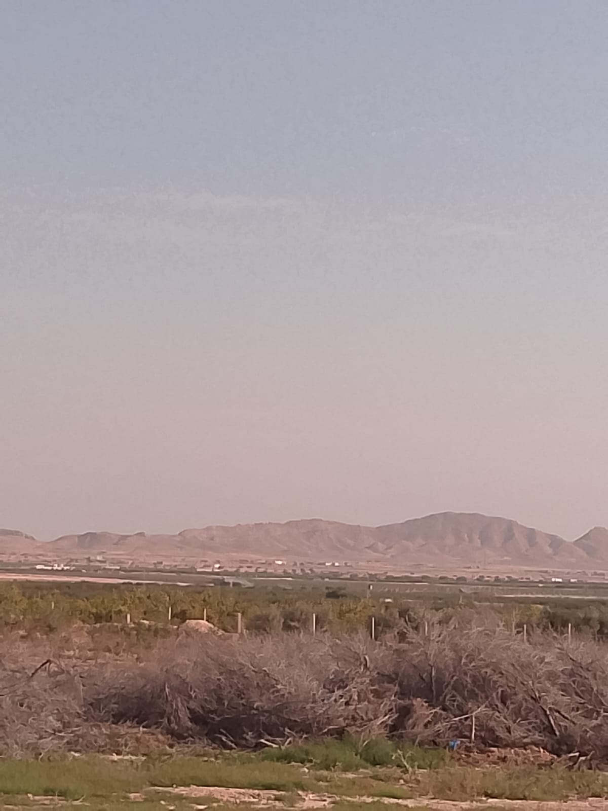 Sidi Bouzid Est Ezzitoune Terrain Terrain agricole Terrain agricole  sidi bouzid