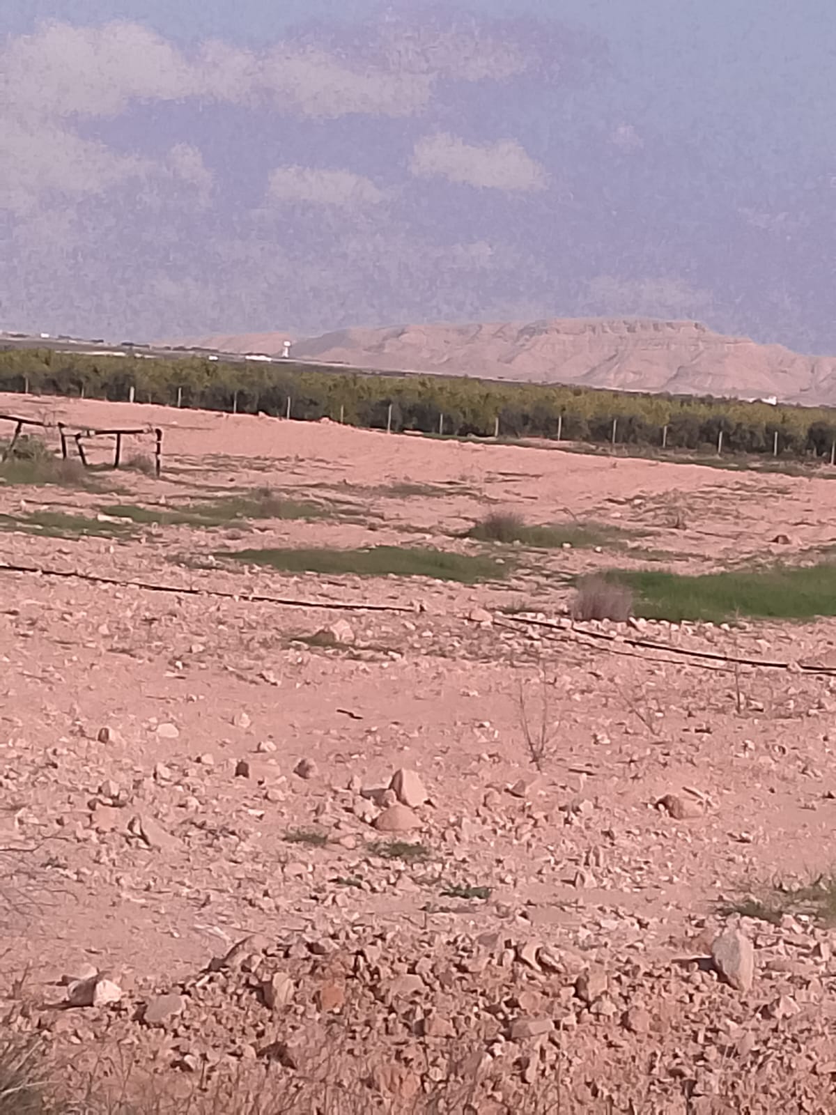 Sidi Bouzid Est Ezzitoune Terrain Terrain agricole Terrain agricole  sidi bouzid