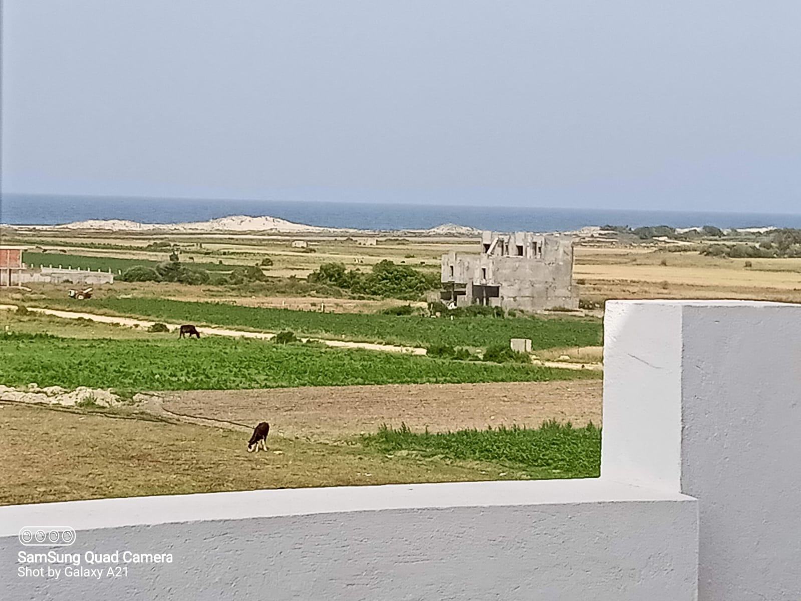 Kelibia Dar Allouche Vente Maisons Charmante villa avec piscine