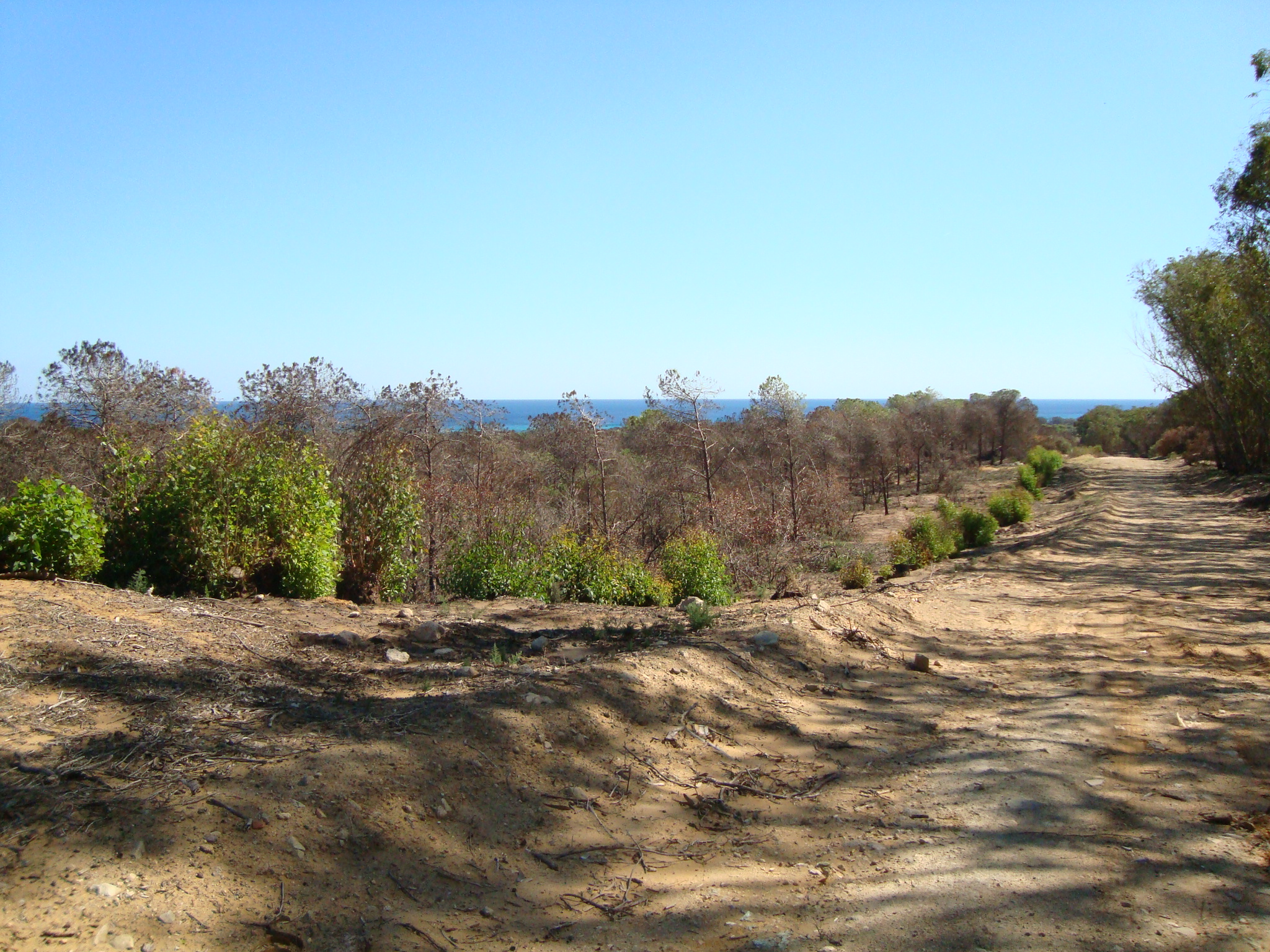 Hammam El Ghezaz Tamazrat Terrain Terrain nu Pour investir un terrain avec vue sur mer