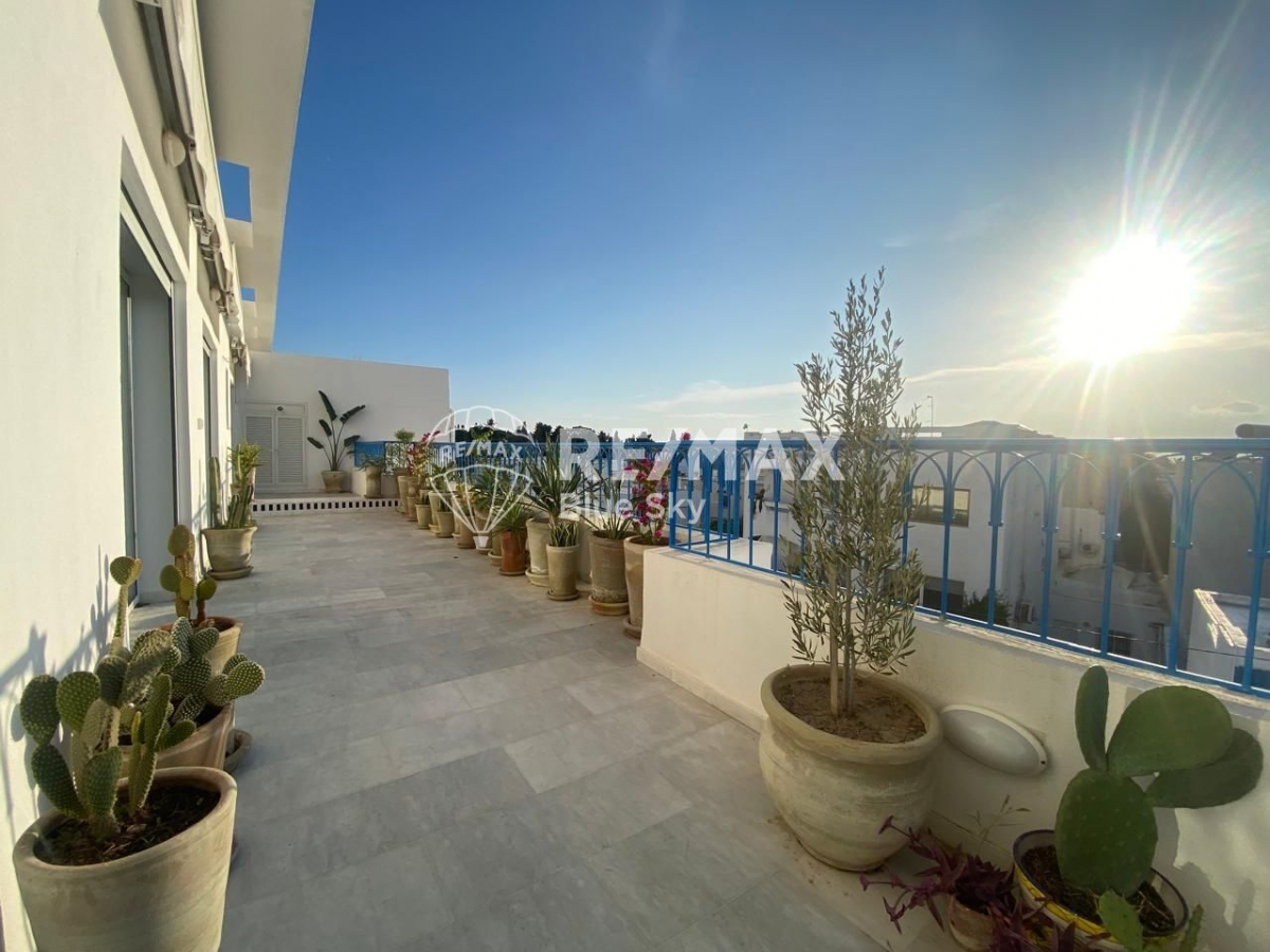 Carthage Sidi Bousaid Location Appart. 1 pice Appartement coup de coeur avec terrasse ref284a