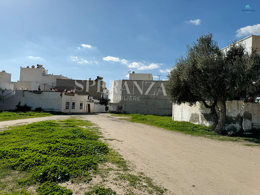 Hammamet Hammamet Vente Surfaces Terrain yassine