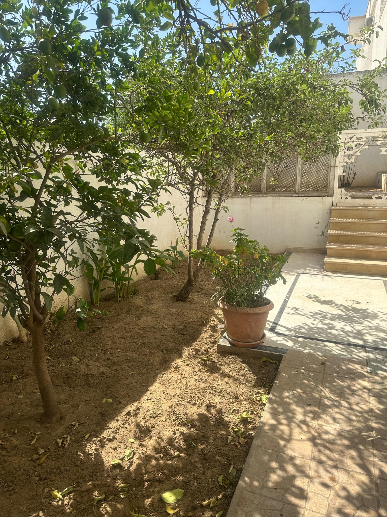 Mnihla Jardins d'el Menzah Location Appart. 3 pices Villa jardin d'el manzeh1 s3 1500d bureau 1700