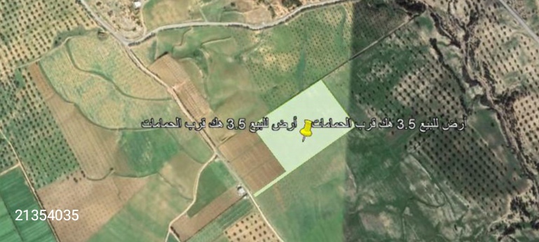 Hammamet Bir Bouregba Terrain Terrain agricole Terrain de proche de hammamet investissement