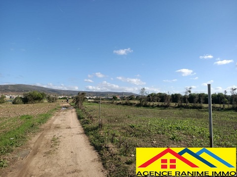 El Haouaria Ferjoun Terrain Terrain agricole Terrain agricole 1h et 500m2 a el haouaria cap bon