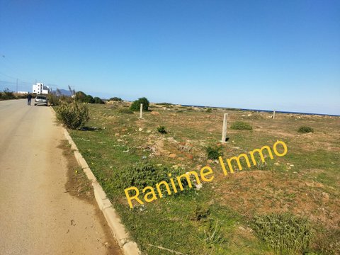 El Haouaria Cite Touristique Terrain Terrain nu Terrain de 1000m2 pieds ds leau a la mer haouaria