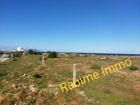 El Haouaria Cite Touristique Terrain Terrain nu Terrain de 1000m2 pieds ds leau a la mer haouaria