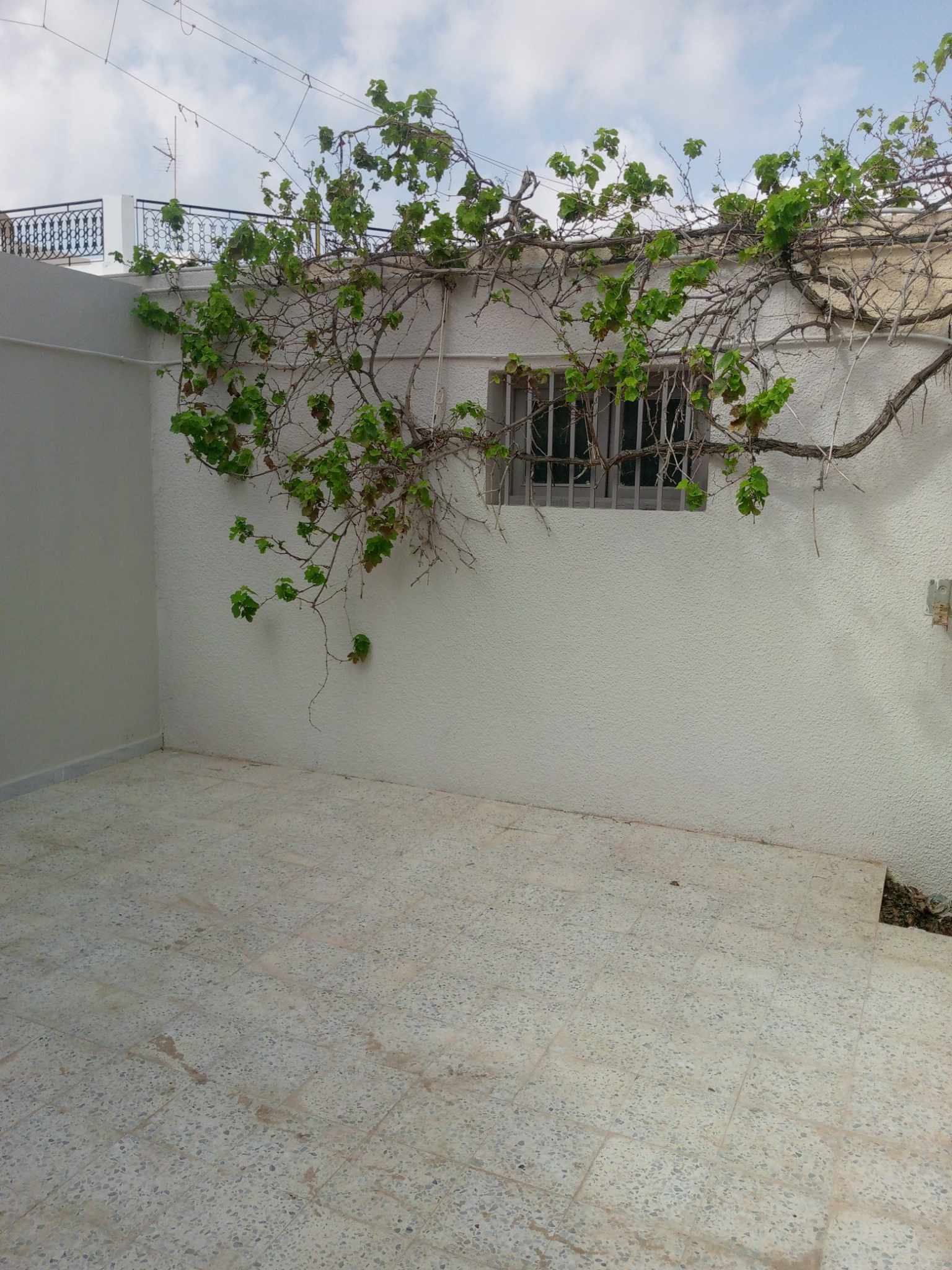 Sakiet Eddaier Essaltania Location Appart. 2 pices 1er etage sfax saltniya km4