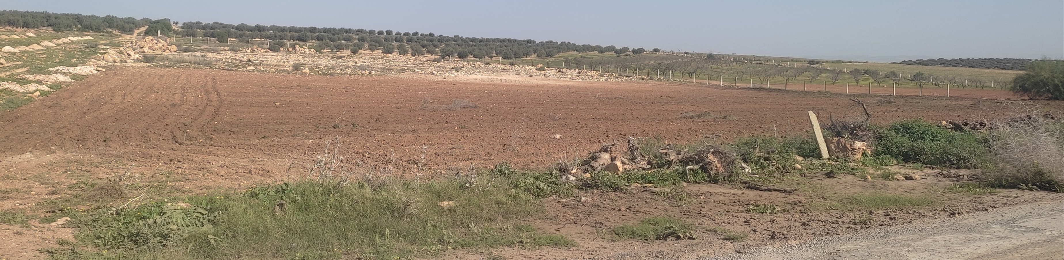 Bir Mcherga Bir Mcherga Terrain Terrain agricole Terrain agriculture