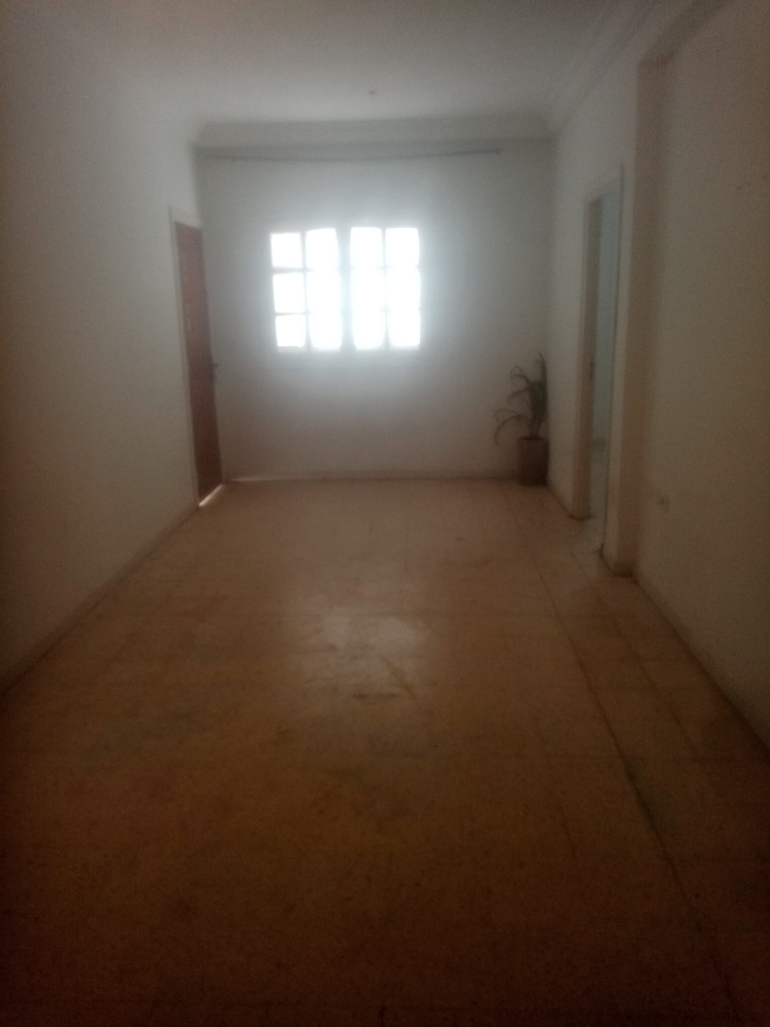 Carthage El Yasmina Location Appart. 3 pices S2 tres propre rue principale carthage yasmina