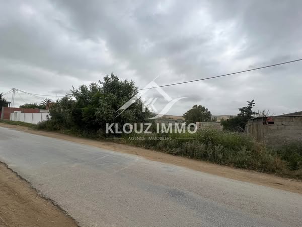 Bizerte Nord Bizerte Terrain Terrain agricole Terrain sidi hmed bizerte