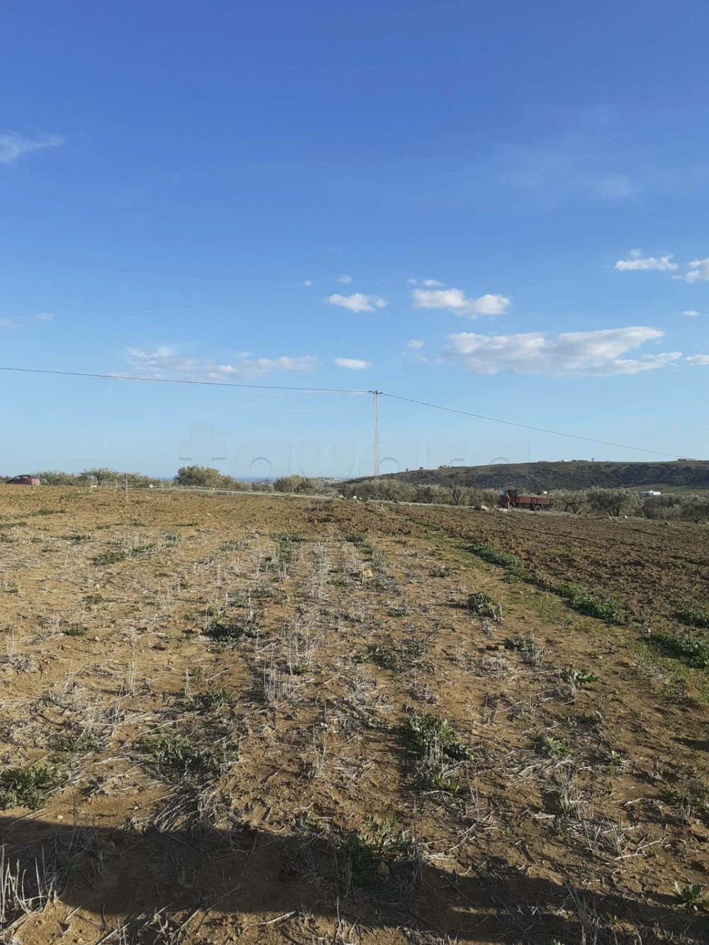 Hammamet Hammamet Terrain Terrain agricole Av terrain 10000m sur la route  hammamet sud