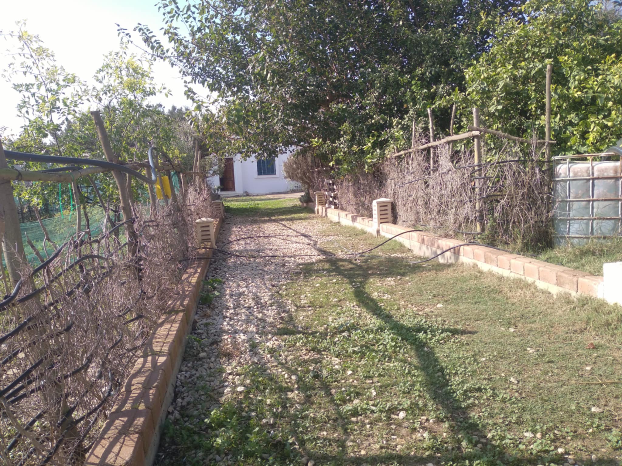 Ghar El Melh Aousja Terrain Terrain agricole Charmante ferme a 40km de tunis