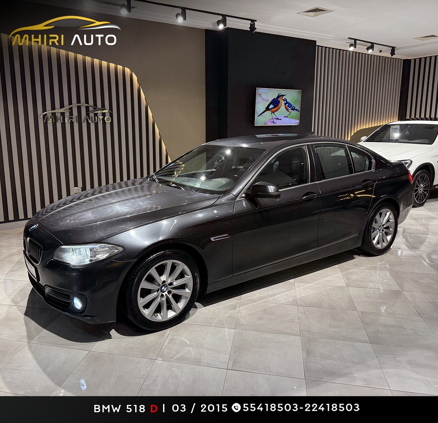 Mnihla Jardins d'el Menzah Bmw Serie 5 Bmw 520 d 1ere main