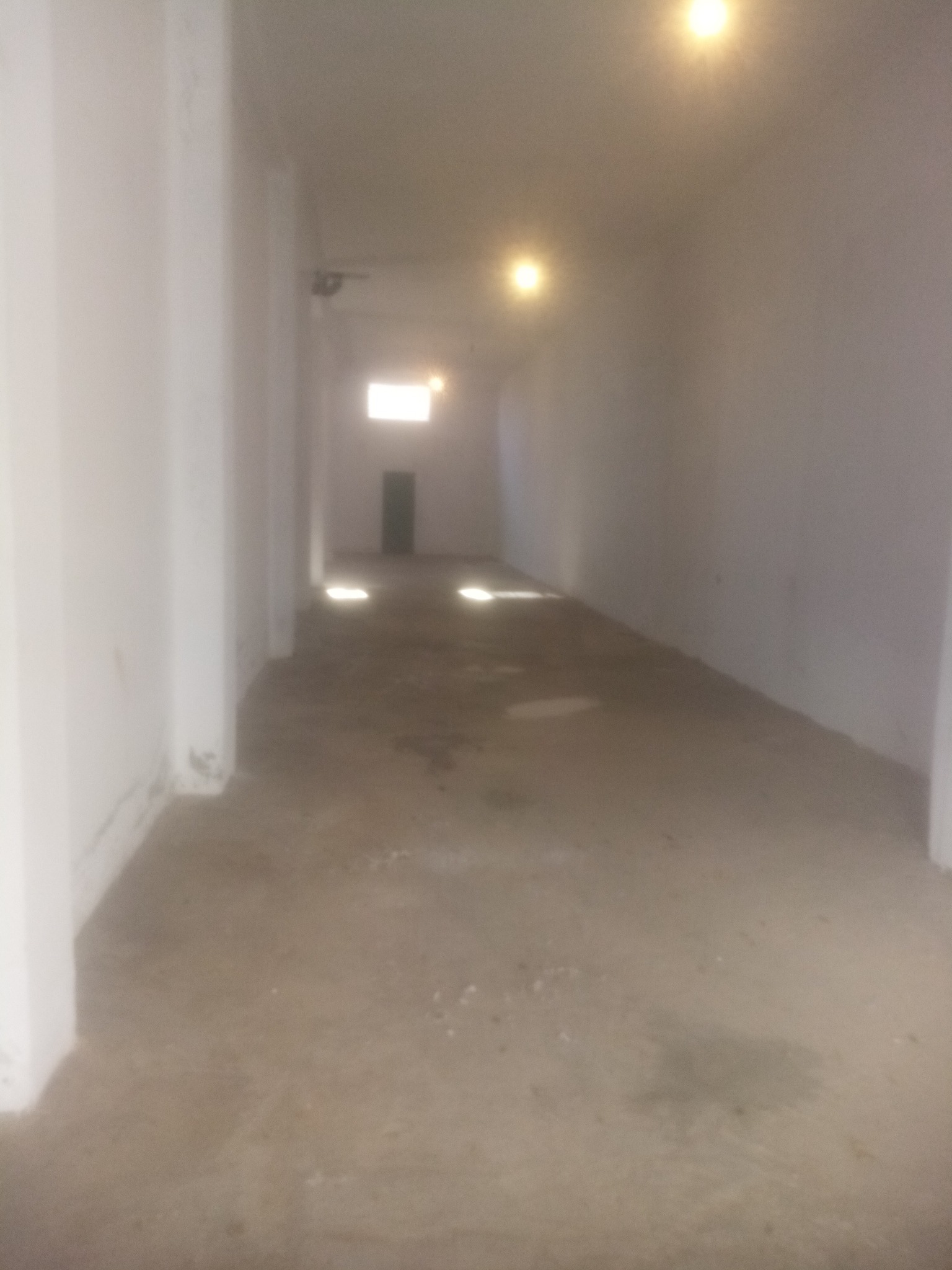 Carthage Cartage Byrsa Bureaux & Commerces Surfaces Grand depot de 306 m2 a carthage byrsa