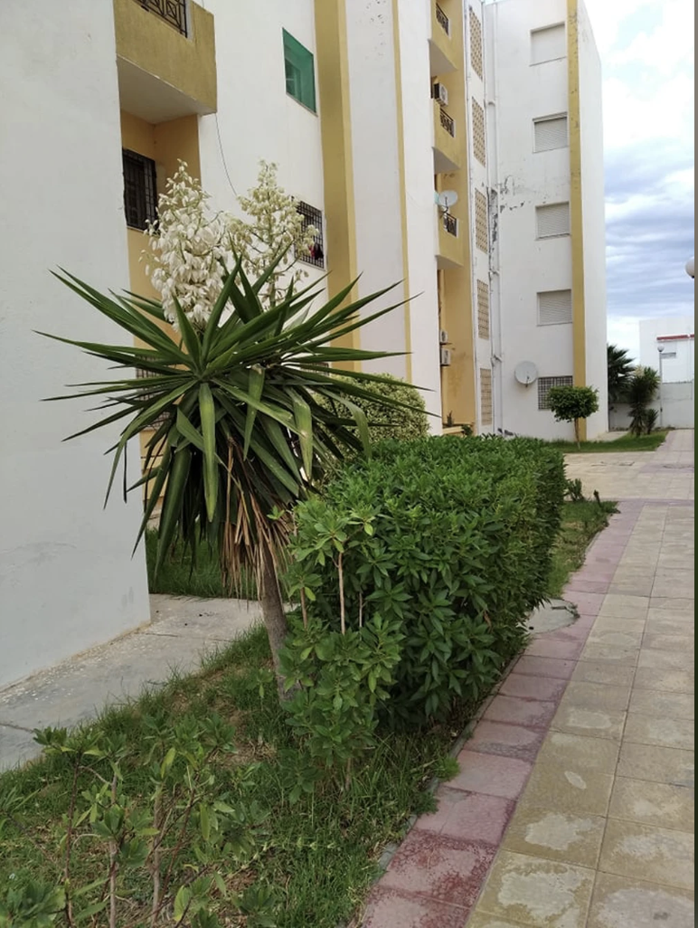 Raoued Cite Ennour Jaafar Vente Appart. 3 pices Appartement s2 nour jaafer