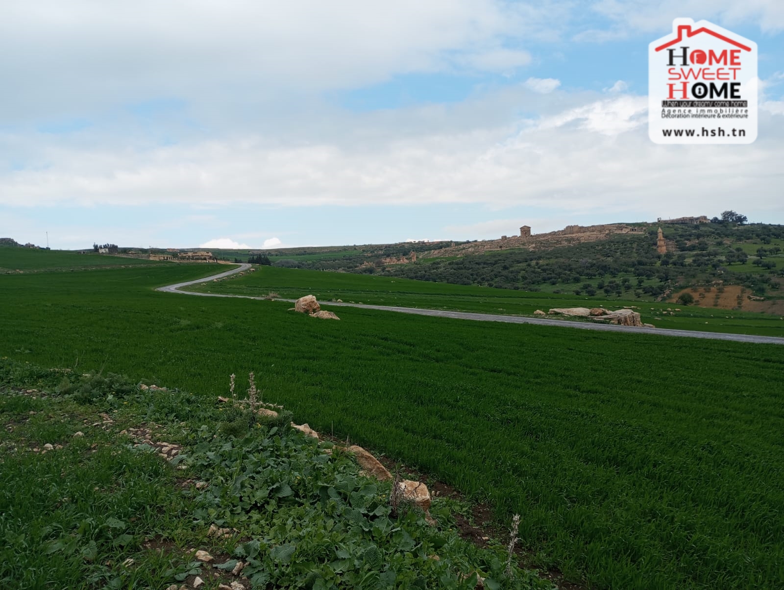 Beja Nord Beja Terrain Terrain nu Terrain agricole aude  dougga