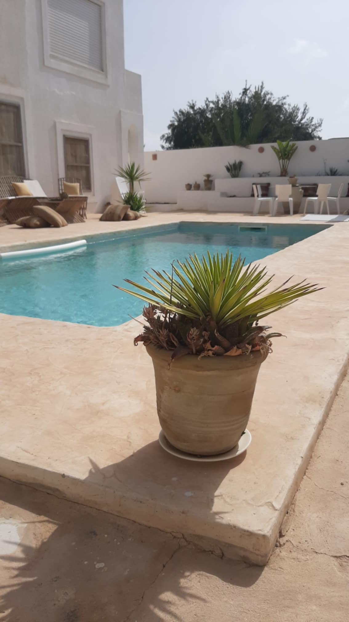 Djerba - Houmet Essouk Mellita Djerba Location Maisons Une coquette maison avec piscine