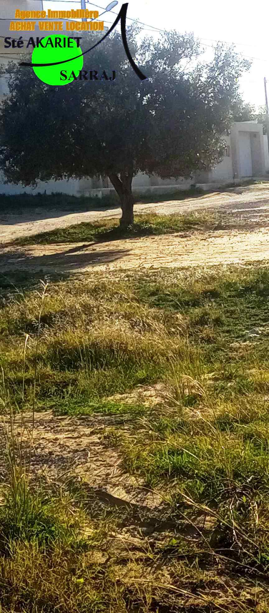 Akouda Chatt Meriem Terrain Terrain agricole Terrain 1640m zone des villas  koussour gharnata