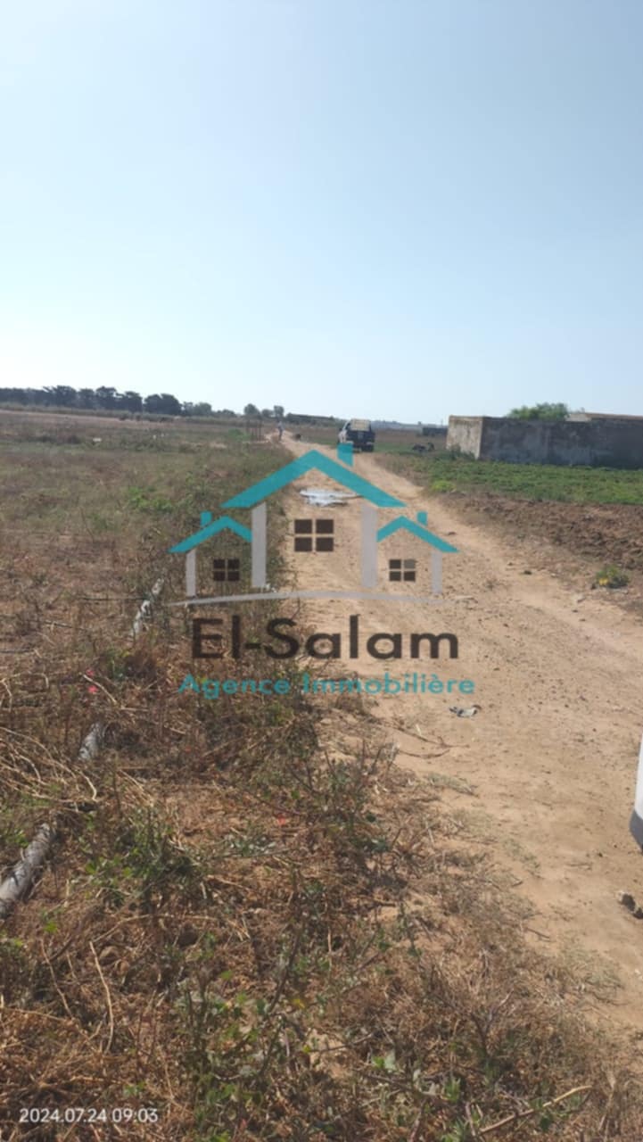 El Haouaria El Kedoua Terrain Terrain agricole 2000m2 opportunit seulement a 45000 dt