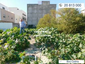 Hammam Chatt Borj Cedria Vente Surfaces A  terrain a borj cedria ref729a