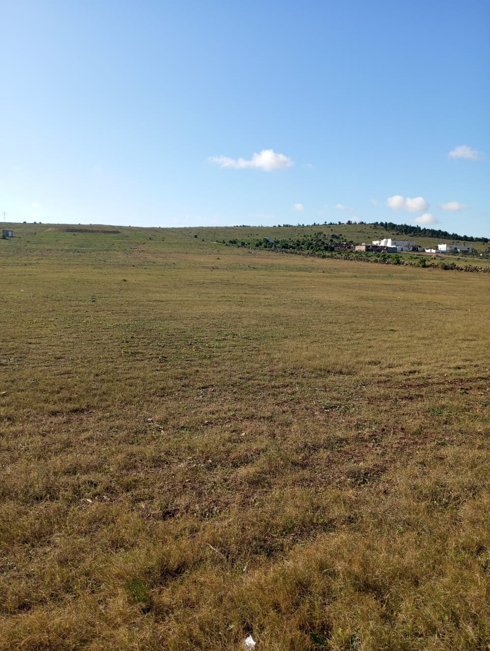 Hammam Zriba Bou Achir Terrain Terrain agricole Av 6 hectares avec sondage  zaghouan