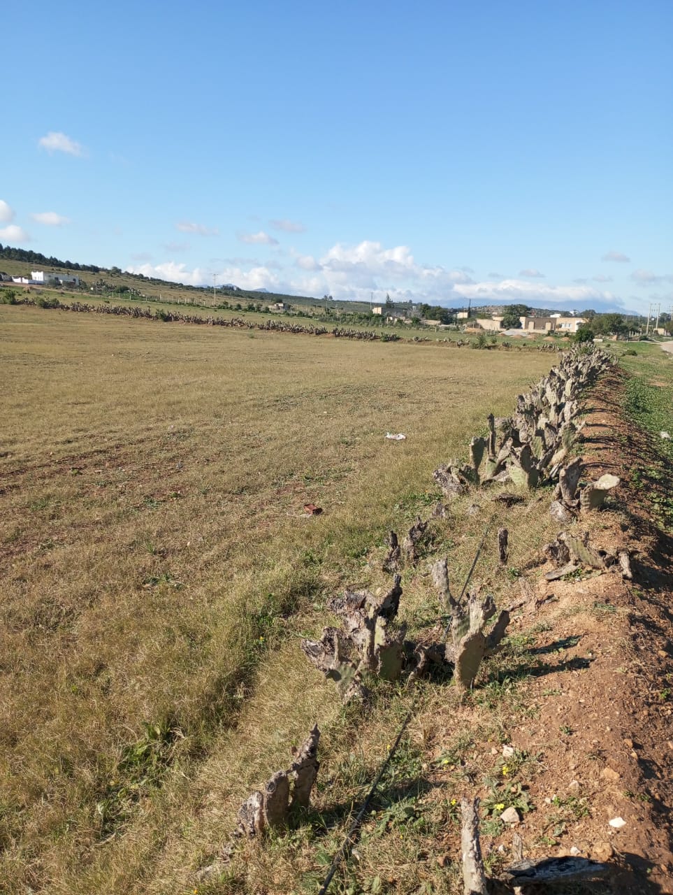 Hammam Zriba Bou Achir Terrain Terrain agricole Av 6 hectares avec sondage  zaghouan