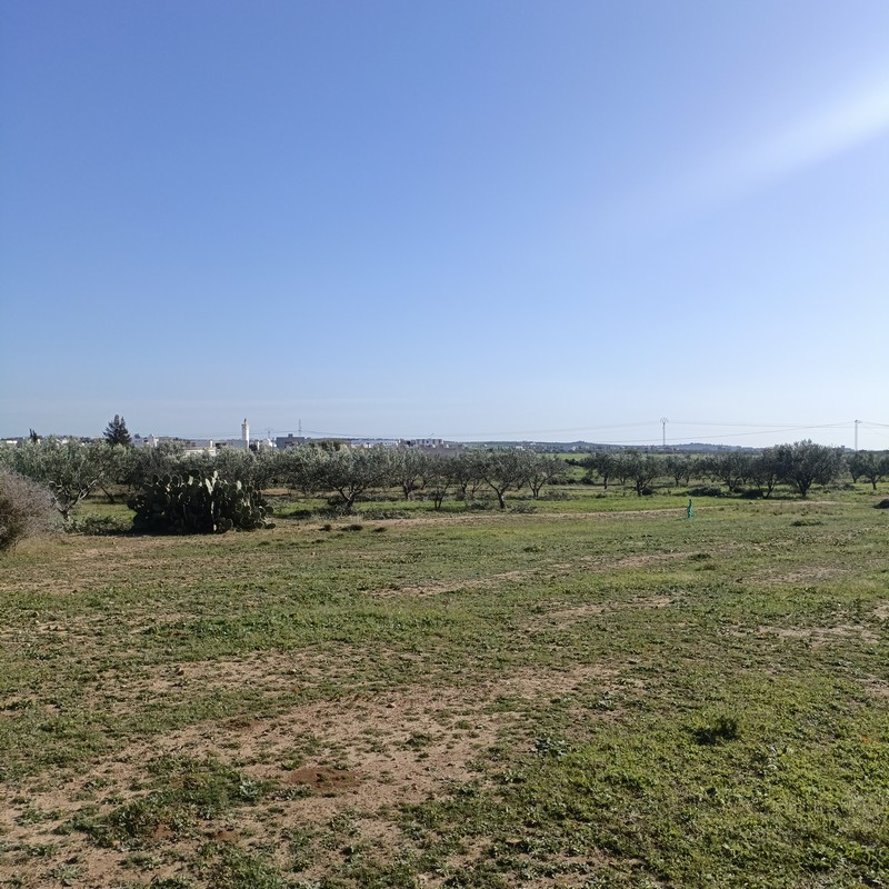 Hammamet Hammamet Terrain Terrain nu Av 500m a 60md  sidi jdidi hammamet sud