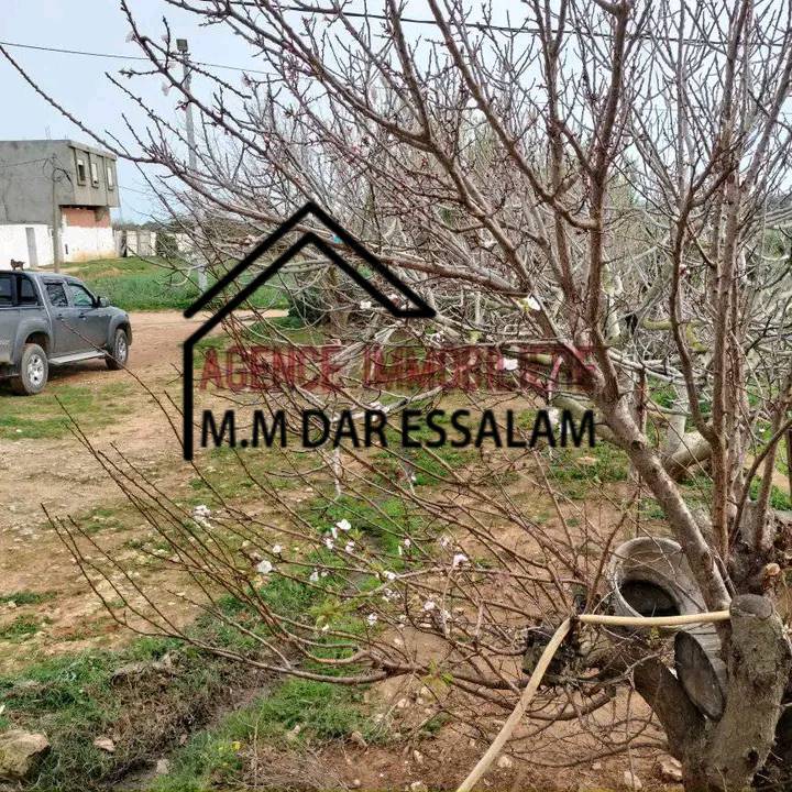 Kelibia Sidi Madhkour Vente Maisons Maison avec un jardin