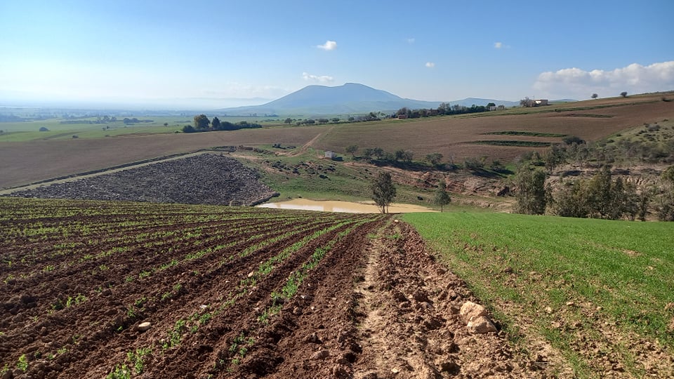 Bou Salem Bou Laaba Terrain Terrain agricole Khlifat  ghezala  bousalem